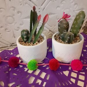 Fiesta Pricky Faux Cactus Planters - a set of 2